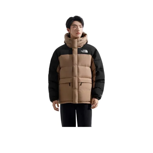 THE NORTH FACE ICON Down Jacket Men's