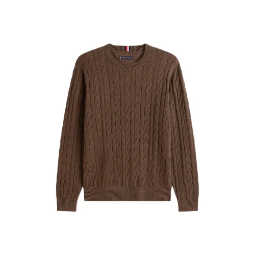 Tommy Hilfiger Коричневые Мужские Свитера