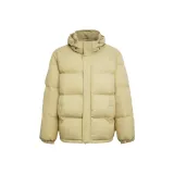 Зеленый цвет увядшей травы