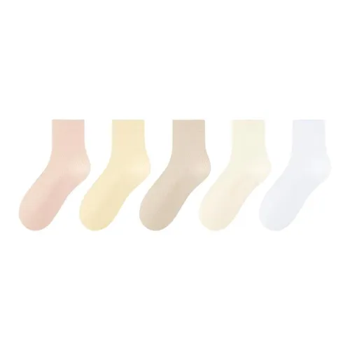 MADALLO [5 пар] 1 Абрикос + 1 Светло-желтый + 1 Хаки + 1 Экрю + 1 Белый Женские носки MID до икры