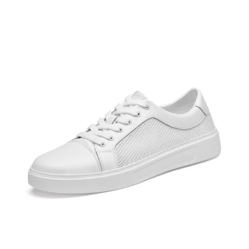 Extravagant Low Топ Скейтборд Кроссовки Мужские