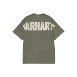 Кактусовый цвет