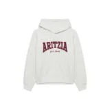 Светло-пшеничный серый