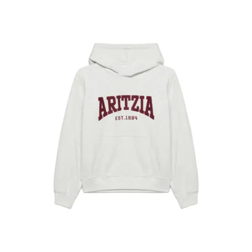 Aritzia Cozy Sweatfleece Perfect Hoodie Sweatshirt Women's