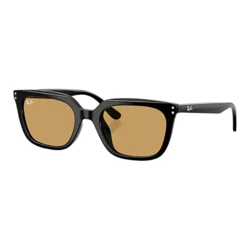 RayBan Propionate Квадратные Солнцезащитные Очки Унисекс Полированные Черные