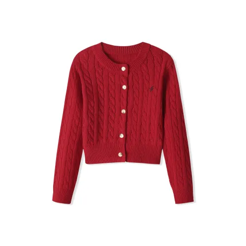 ZHONGBANGJICHU Трикотаж Женский