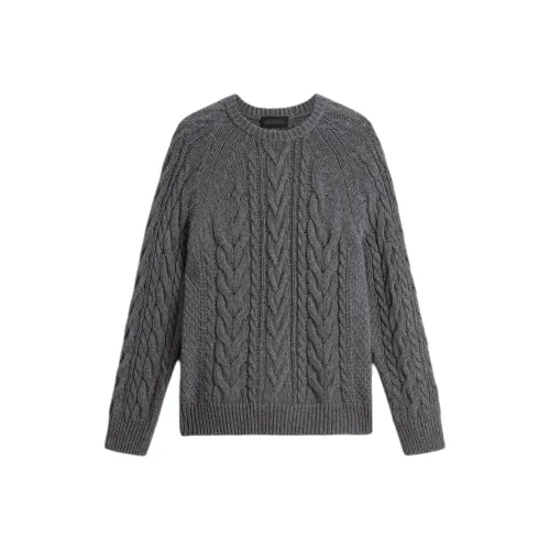 WOOLRICH Светоотражающие Серые Унисекс Свитера