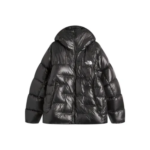 THE NORTH FACE SUMMIT Pumori PARKA Пальто Мужской