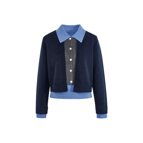 KUOSE Синий Женские Повседневные Костюмы