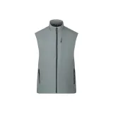 Звездный серый