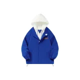 Синий Кляйна