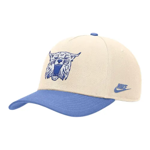 nike Переработанный полиэстер Кепки Мужской Хаки Синий