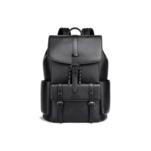 FAIRWHALE Рюкзак из коровьей кожи мужской черный