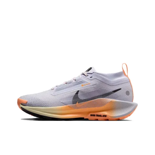 Nike Pegasus Trail 5 Беговые кроссовки Женские Серый
