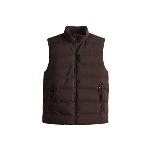 H M Темно-коричневые мужские жилеты