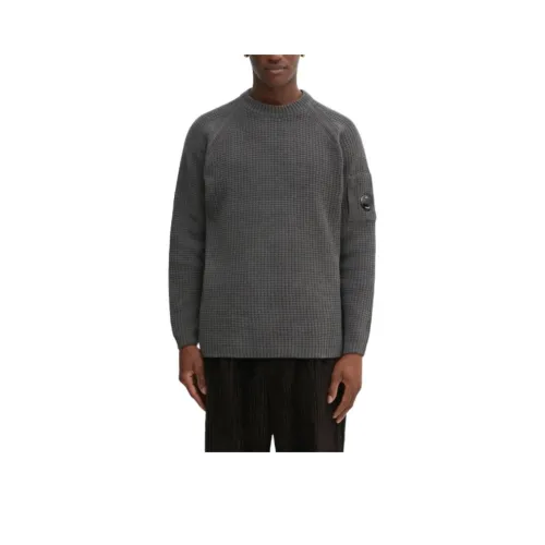 C.P.Company Серые Мужские Свитера