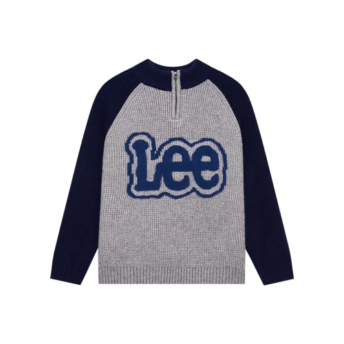 Lee Школьный возраст Свитера