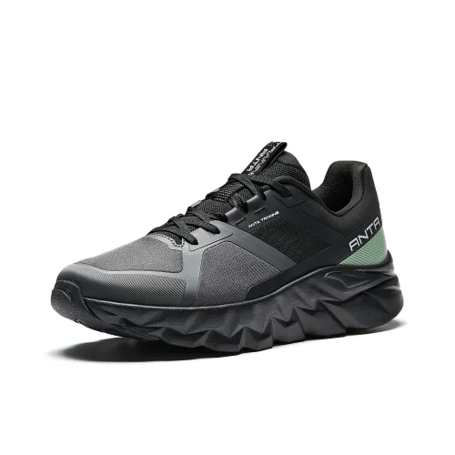 ANTA Низкий Топ Общий Тренировочные Кроссовки Мужские