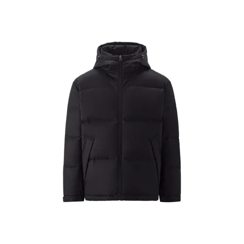 Giordano Мужские Пуховики