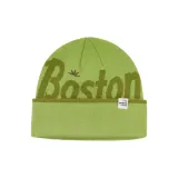 Цвет зеленого авокадо