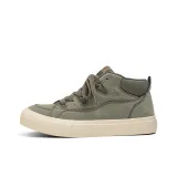 Кедр Зеленый