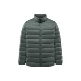 Темно-зеленый (Серый утиный пух) 41036