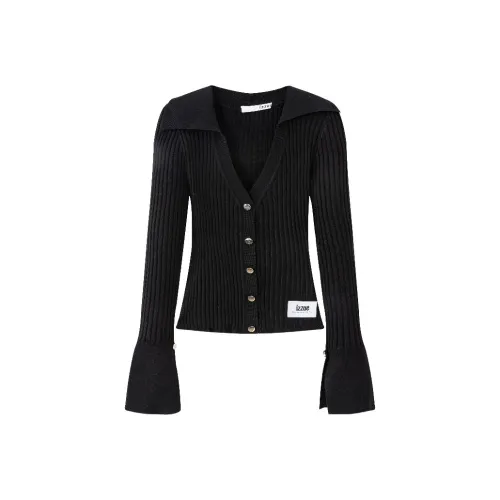 Izzue Женские Свитера