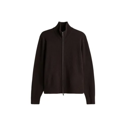 H M Коричневые Мужские Свитера