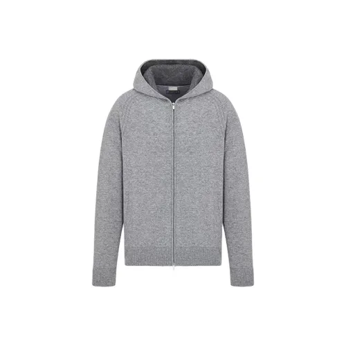 DIOR SS26 Кашемир Свитер Мужской