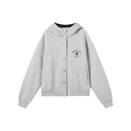 DIALOGUE Светло-пшеничный серый Женские Свитшоты