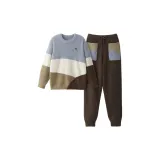 [Мужской Круглый вырез] Камень Коричневый Многоцветный