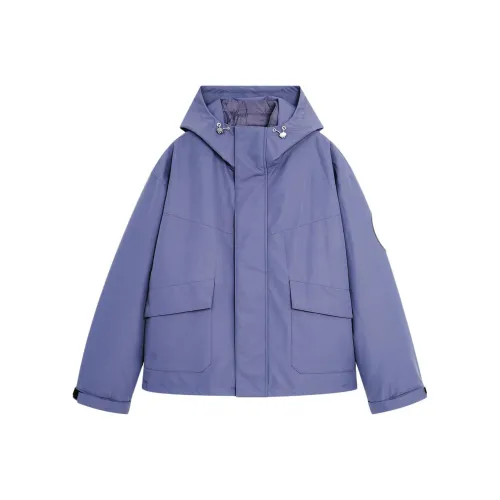 Bodydream Синий Фиолетовый Унисекс Пуховики и Зимние Пальто