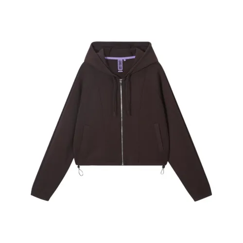 ANNA SUI Какао Теплый Коричневый Женский Свитшот