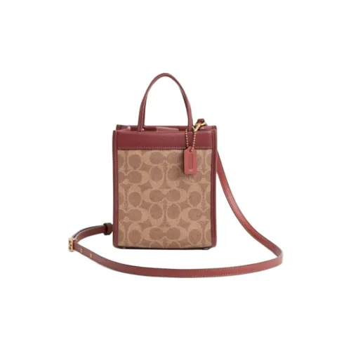 COACH Cashin Искусственная кожа с коровьей кожей одно плечо мини сумка женский ржаво-красный коричневый и желтый