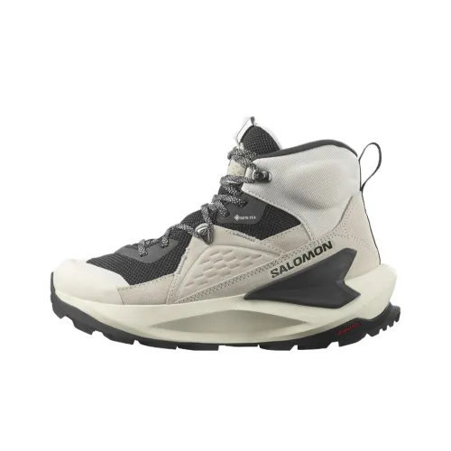 SALOMON Elixir Slip-Resistant Abrasion-Resistant MID Top Альпинистская Обувь Женская Серый