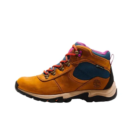 Timberland Maddsen Slip-Resistant Waterproof MID Top Hiking Shoes Women's Brown