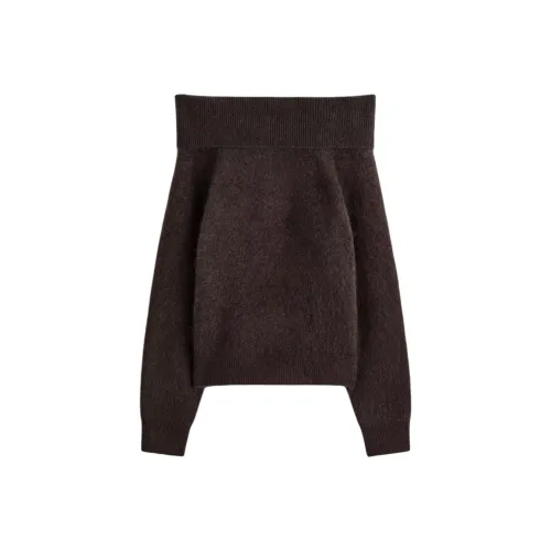 COS Темно-коричневые женские свитеры