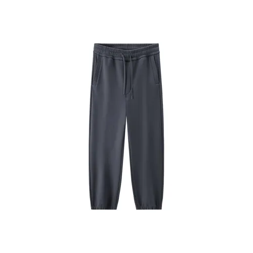 SEM R Мужские Повседневные Брюки