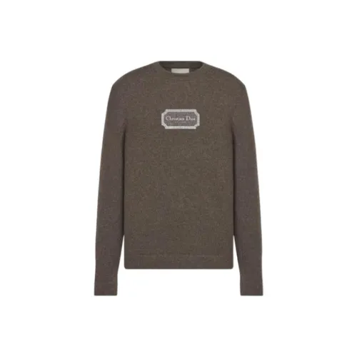 DIOR Коричневый Мужской Кашемировый Свитер