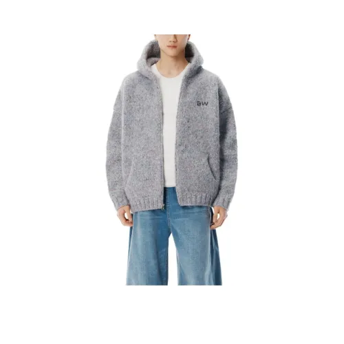 Alexander Wang Серые Мужские Свитера