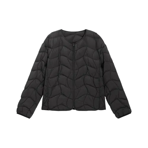 Fragment Женские пуховики