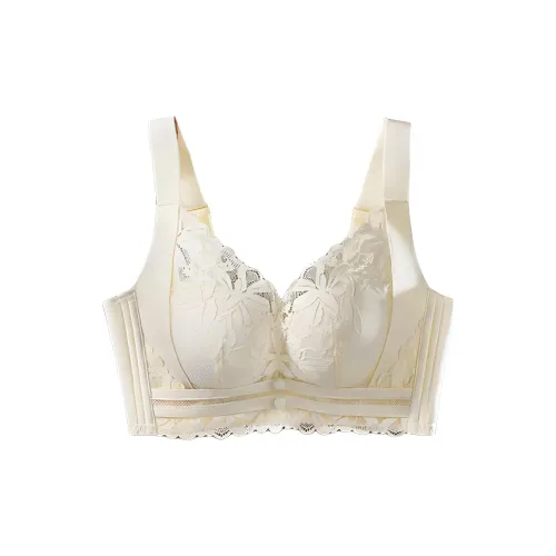 HOWIE LANDAU Женские Бюстгальтеры