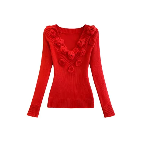 BIFH Красный Цветочный Свитер Женские Трикотаж