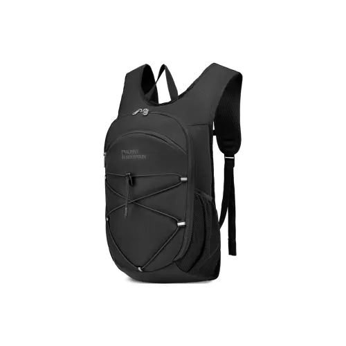 ALPINT MOUNTAIN 15L Туристические сумки Полиэстер Многоцветный Унисекс