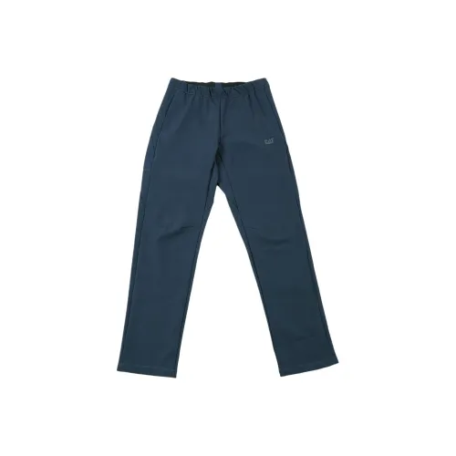 CAT Мужские Повседневные Брюки