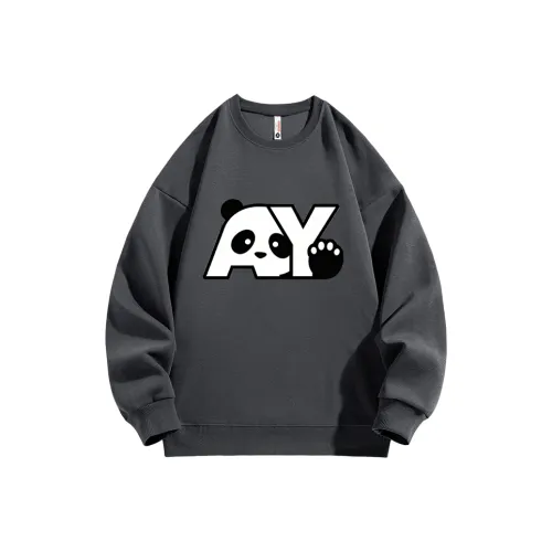 AY Bieber Серый Унисекс Свитшоты