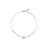 Звездный серебристый цвет звезда