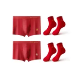 [Трусы 2+Носки 2]02 Богатство+03 Гладкий+Носки *2