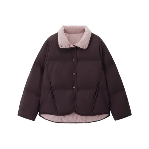 Giordano 08 Шоколадно-коричневый + Cillit Bang Пудра Женские Пуховики