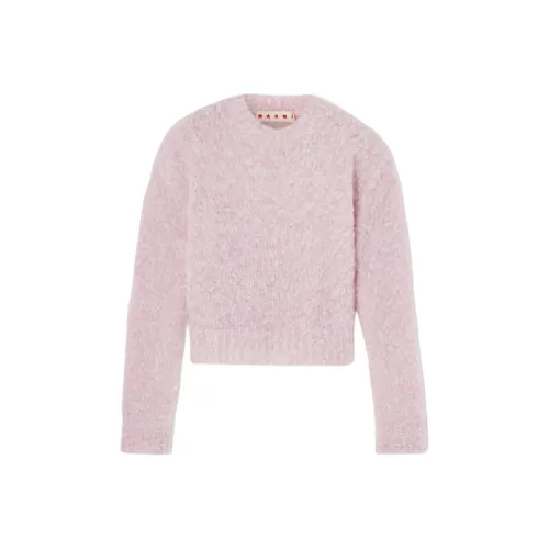 Marni Светло-розовые Женские Свитера
